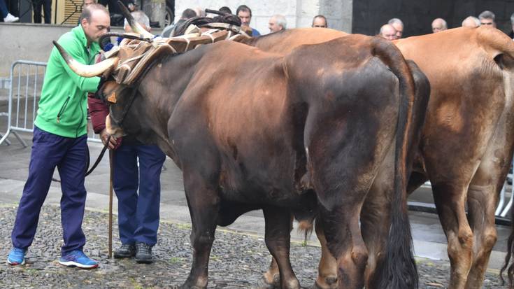 San Isidro eguna Astigarragan