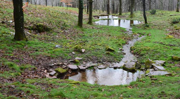 Putzuzarrerako, izenematea 