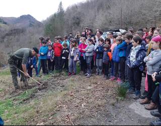 Otsailaren 28an ospatuko da Zuhaitz Eguna