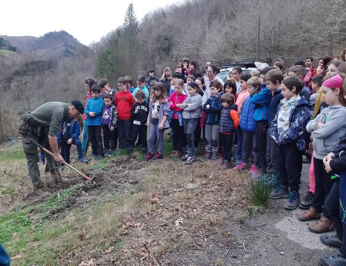 Urtarrilaren 31n ospatuko da Zuhaitz Eguna, Saratsain errekaren ondoan