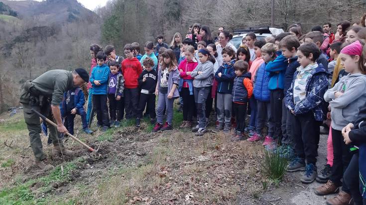 Urtarrilaren 31n ospatuko da Zuhaitz Eguna, Saratsain errekaren ondoan