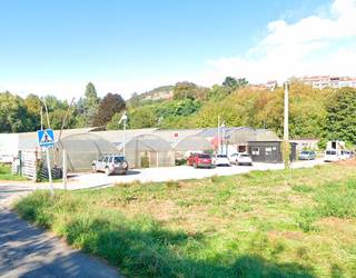 Udal baratzetako ikastaroak Karabelekon, gaur eta larunbatean