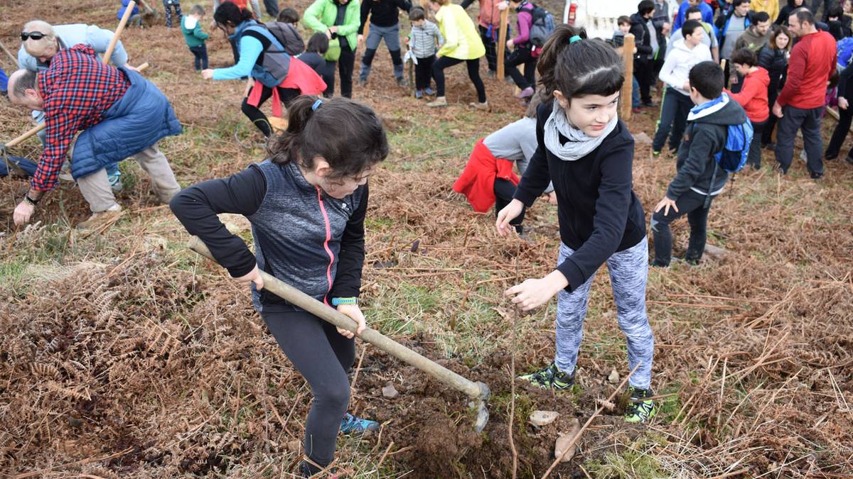 Bertan behera geratu da Zuhaitz Eguna, eguraldi iragarpenagatik