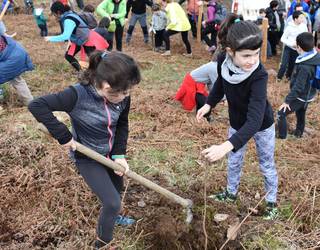 Bertan behera geratu da Zuhaitz Eguna, eguraldi iragarpenagatik