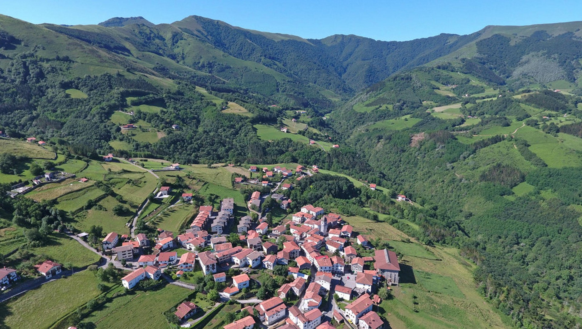 Arantza inguruko zirkoan, urteari agur