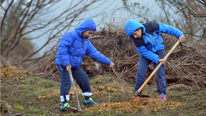 460 zuhaitz berri landatuko dituzte, Aparrain mendian