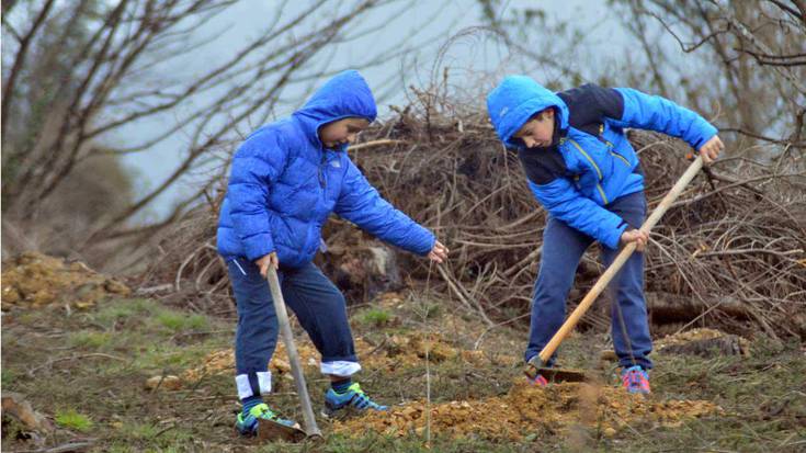 460 zuhaitz berri landatuko dituzte, Aparrain mendian