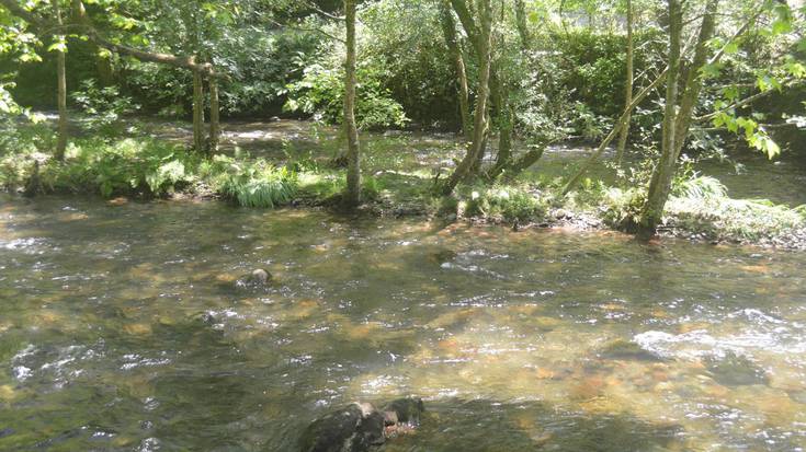 Urumea ibaia garbituko dute gaur, auzolanean, aranoar eta goizuetarrek