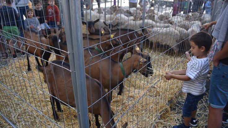 Euskal Jai jendetsuak ospatu dira, eguraldi ezin hobearekin