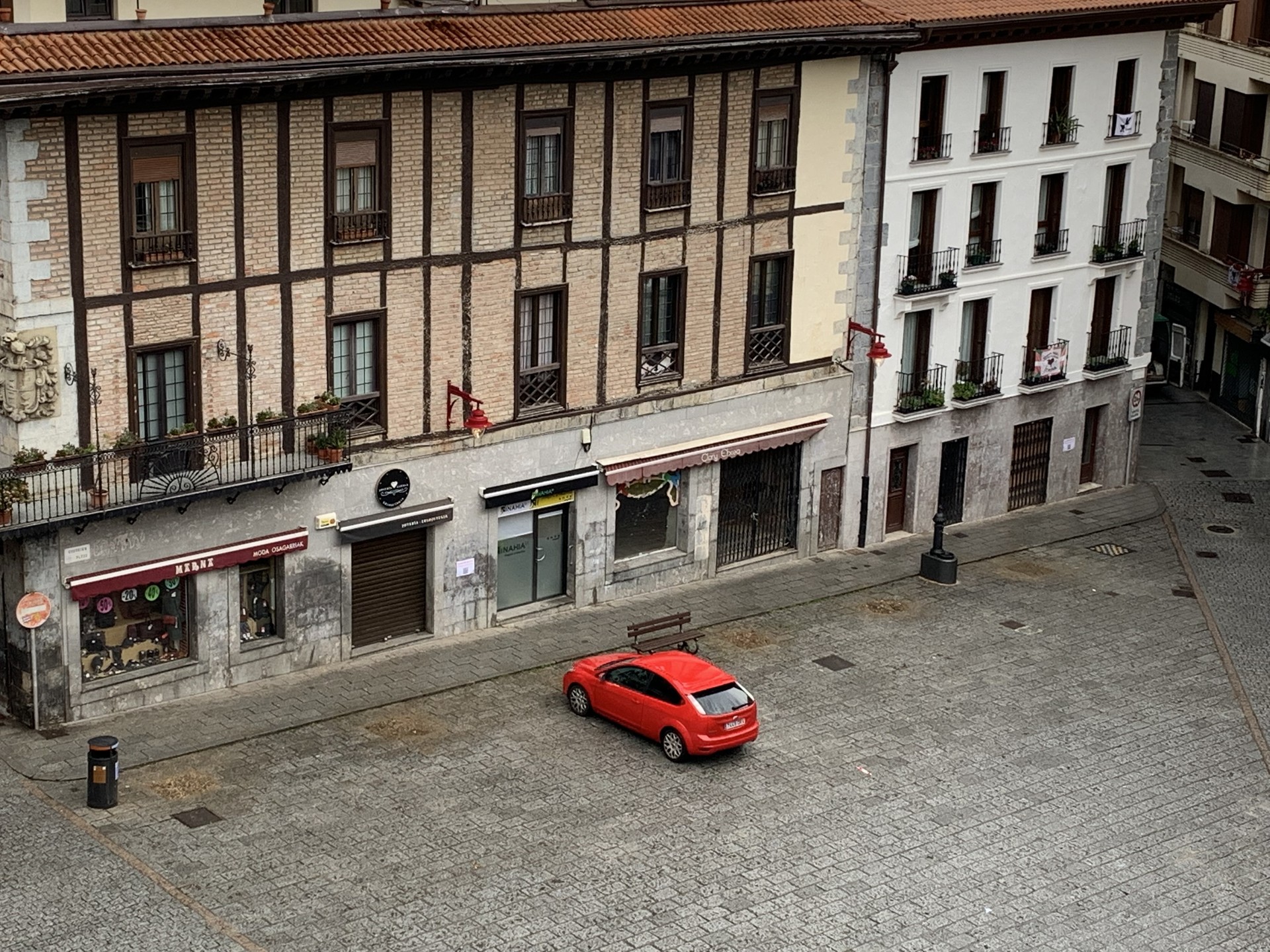 Plazako lau zuhaitz moztu dituzte, eta berriak landatuko dituzte