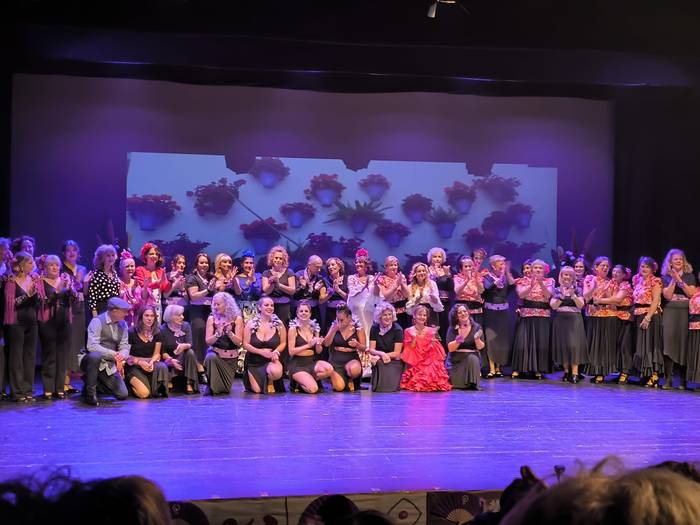 Sevillanen ikuskizuna Erriberan indarkeria matxista salatzeko