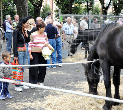 Sagarra eta sagardoaren festa eta Trikitixa Txapelketa, 
Euskal Jaiak agurtzeko ekitaldi nagusiak