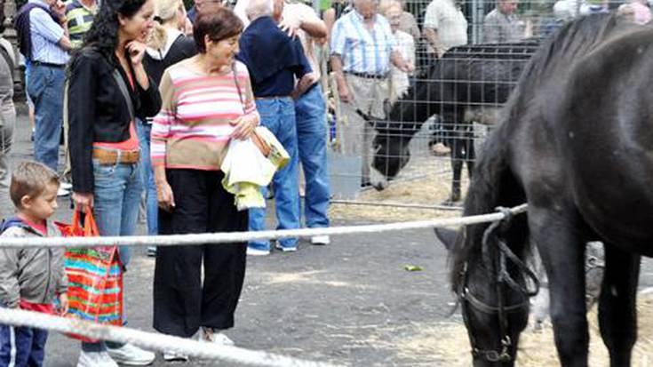 Sagarra eta sagardoaren festa eta Trikitixa Txapelketa, 
Euskal Jaiak agurtzeko ekitaldi nagusiak