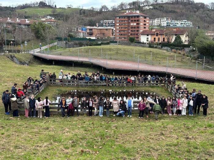 Eskolak bat eginda, Hezeguneen Nazioarteko Egunaren atarian