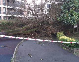 Haize bolada gogorrek kalte nabarmenak sortu dituzte bart