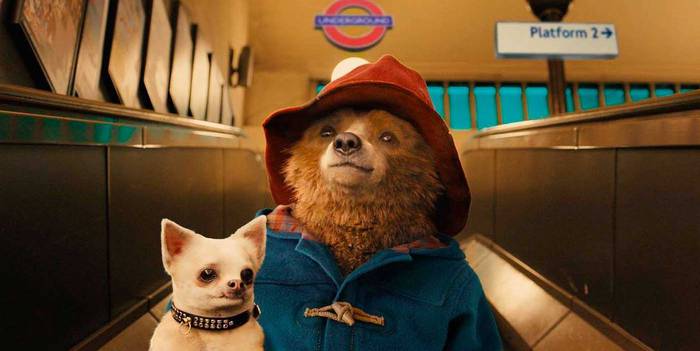 'Paddington' bihar, Gabriel Zelaian