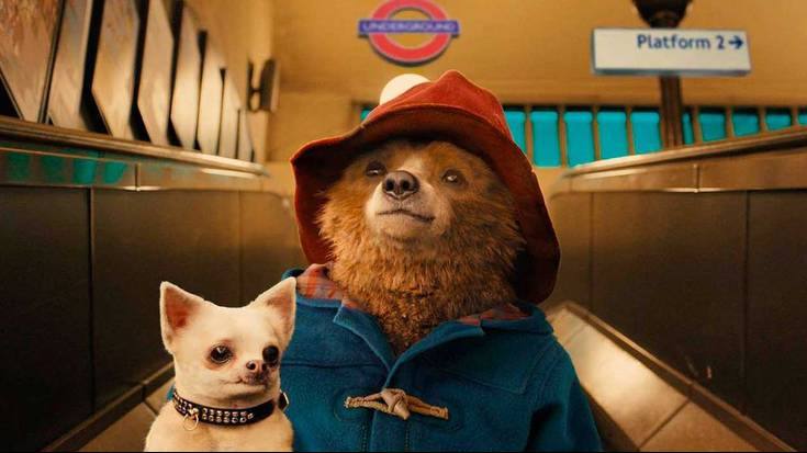 'Paddington' bihar, Gabriel Zelaian