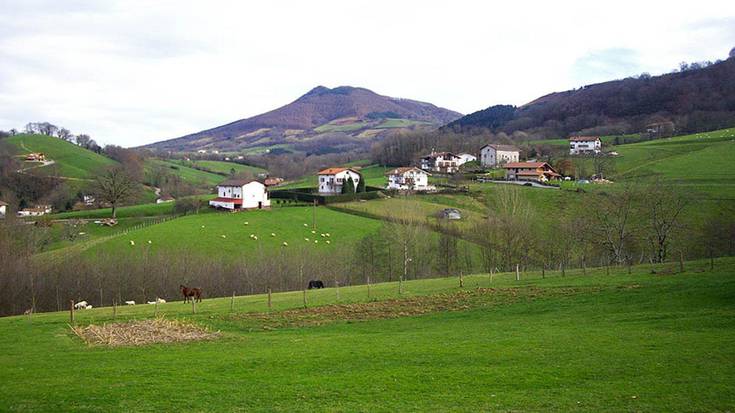 Bidasoa eta Baztan bailaretan, usoak lagun