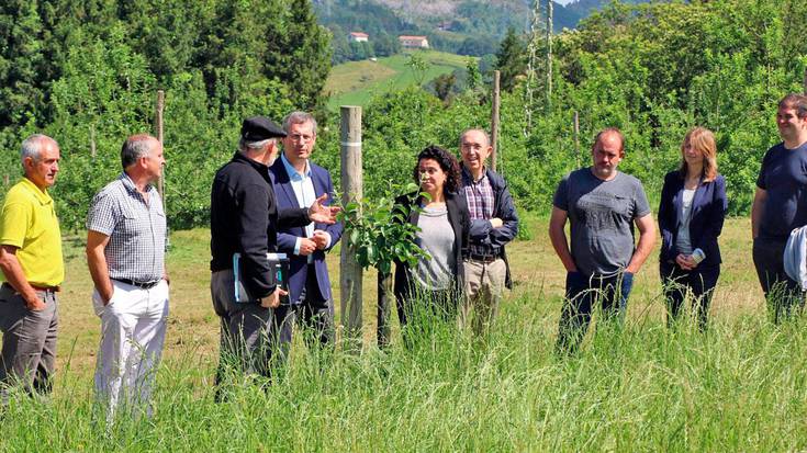 «Gipuzkoan egiten den sagardo guztia  bertako sagarrarekin ekoiztea da helburua»
