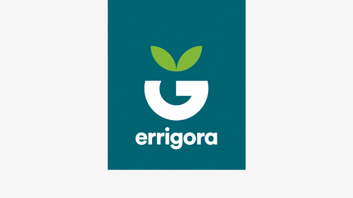 Errigorako produktuen banaketa gaur, Hernanin eta Astigarragan