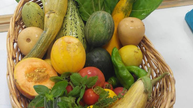 Uzta ederra, eskolako  baratzetik