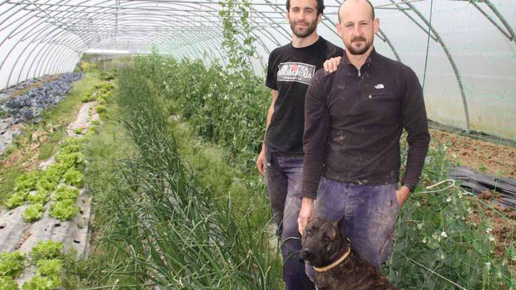 «Orain, arrautza ekologikoekin dieta  konpletoa eskainiko dugu»