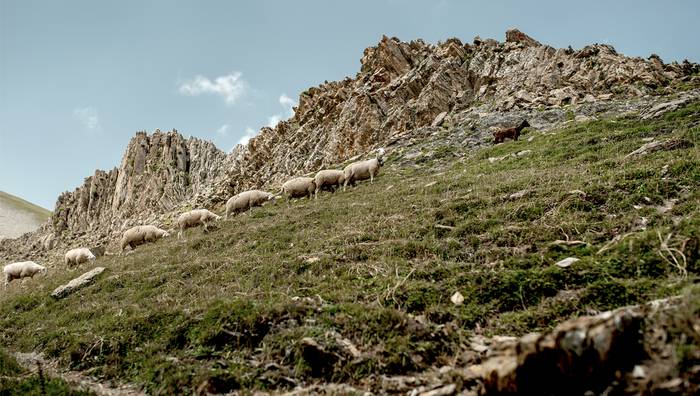 Aukera berria!