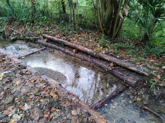 Antziolako erreka berreskuratu dute, naturan oinarritutako teknikak erabilita