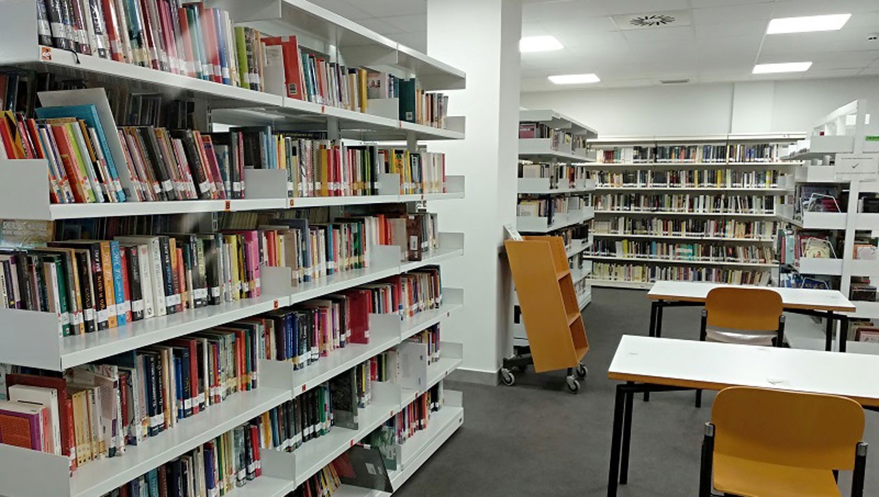 «Liburutegiek gizartea eraldatu dezakete»