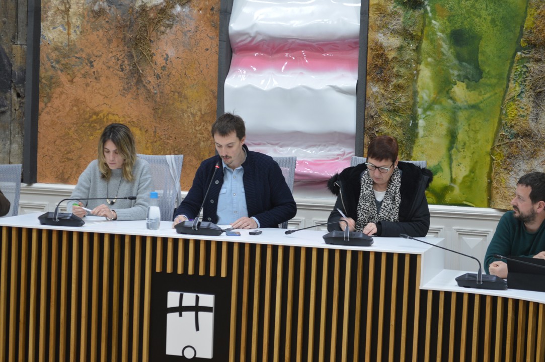 Plenoak bihar telematikoki egingo dira