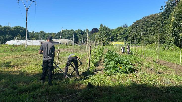 Martxan da Nekazaritza Eskola Hernanin, lehen sektoreko laneratzea areagotzeko