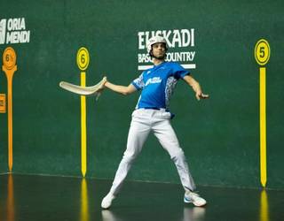 Binakakoa gaur, Galarretan