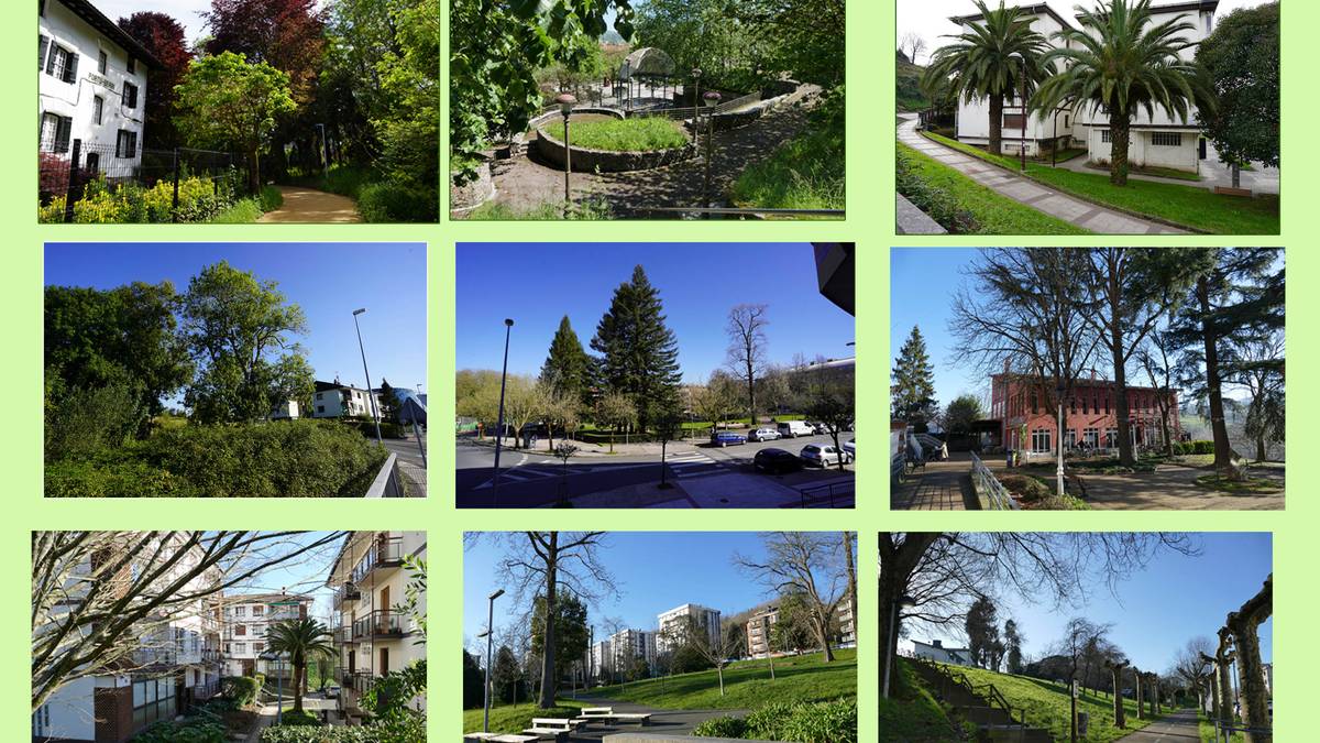 Gaur, 'Hernaniko parke eta auzoetako zuhaitzak' liburuaren aurkezpena