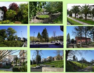 Hernaniko hiriguneko 112 zuhaitz eta zuhaixka jaso ditu Sagarretak liburu batean