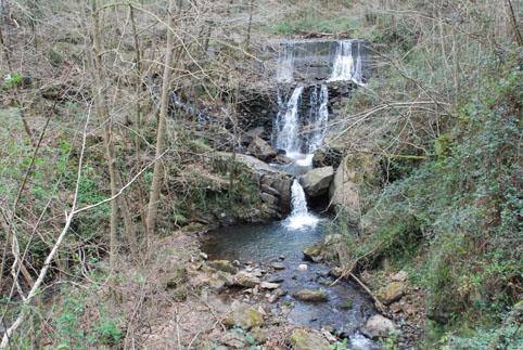 Aiako Harria parke naturaleko habitat naturala berreskuratze aldera zenbait lan egin dira