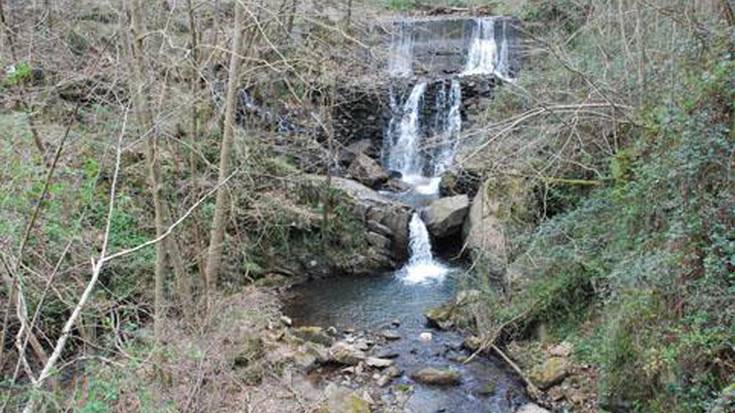 Aiako Harria parke naturaleko habitat naturala berreskuratze aldera zenbait lan egin dira