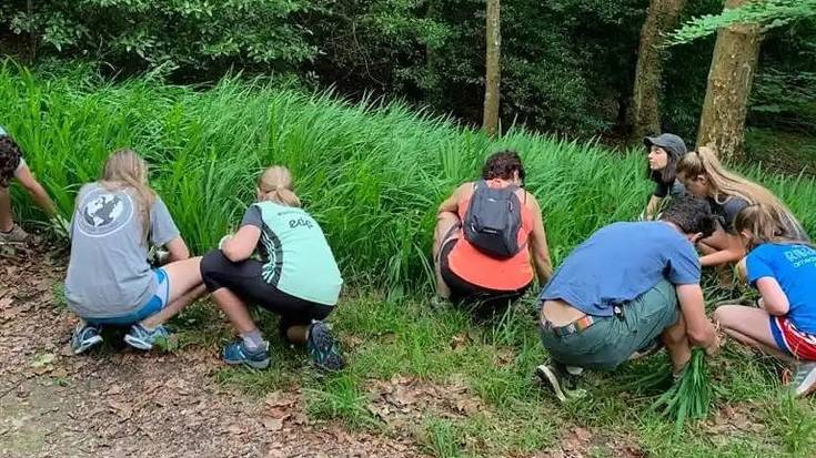Landare inbaditzaileak kentzeko, auzolana