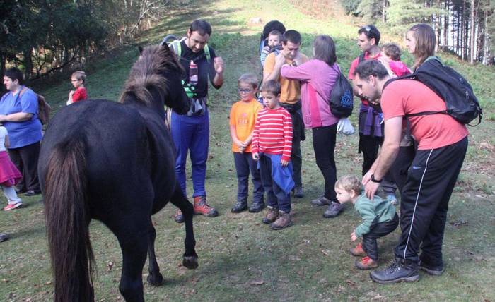 Baztanetik barrena buelta gaur, eta mendi irteera bihar, asteburuko beste bi planak