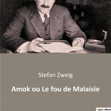 Literatur solasaldia: 'Amok'