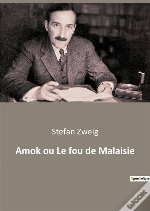 Literatur solasaldia: 'Amok'
