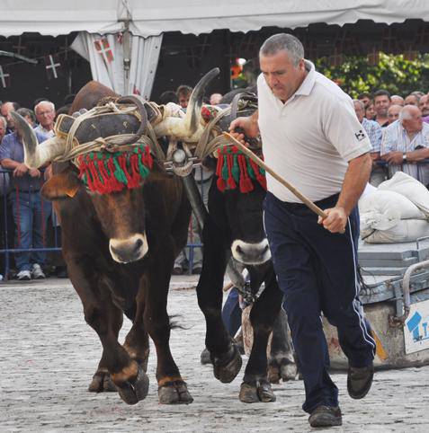 Lau eguneko festa Ergobin, 
ume, sagardo, dema eta krosak markatuta