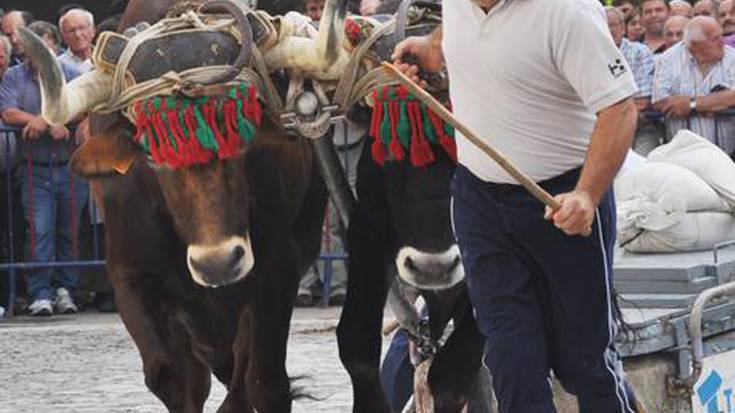 Lau eguneko festa Ergobin, 
ume, sagardo, dema eta krosak markatuta