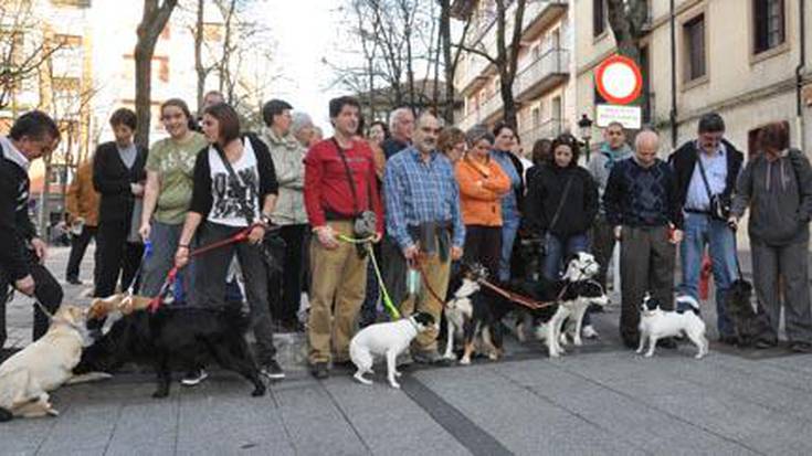 Animalien ordenantza aldatzea onartu izana salatzeko, kontzentrazioa egin zuten ostegunean
