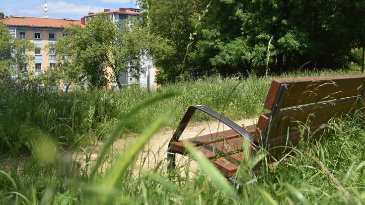 Euskara loratzeko asfalto artean