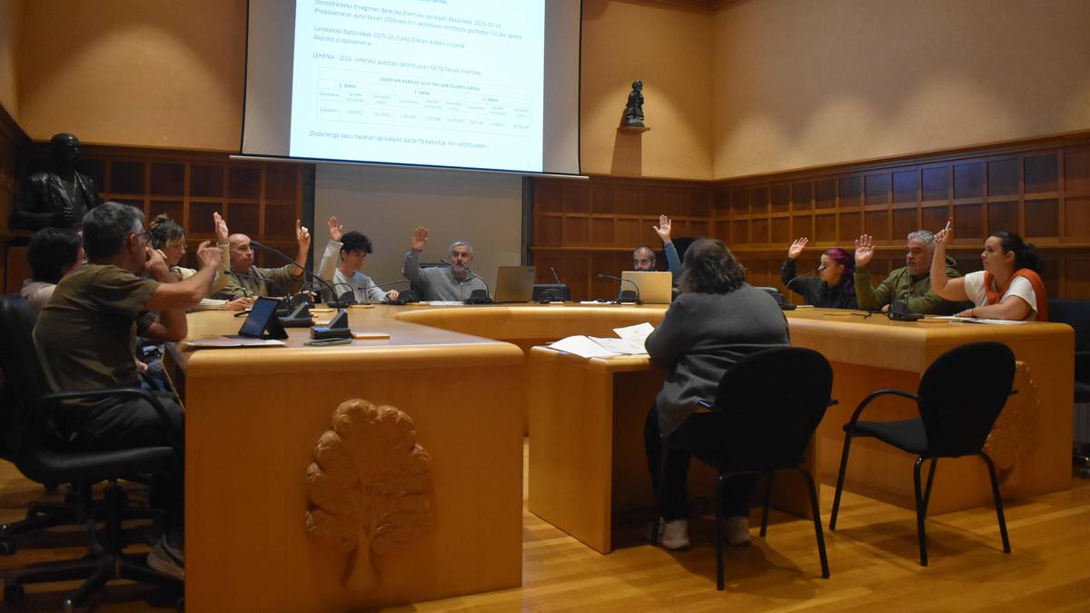 Energia komunitate herritarra sortzeko mozioa onartu du Udalak