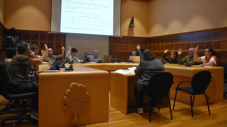 Energia komunitate herritarra sortzeko mozioa onartu du Udalak