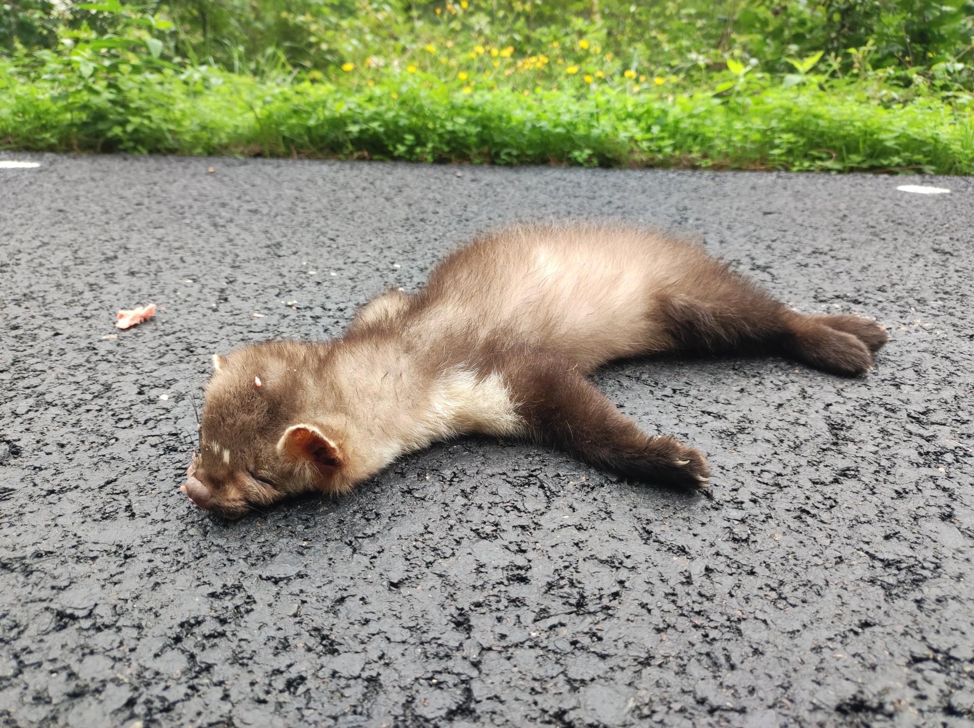 Lepazuria, autoak harrapatuta, hilik agertu zen