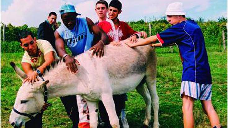 Komediazko pelikula, gaur