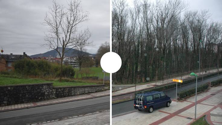 Ave Maria parkeko basoa, lehen eta orain
