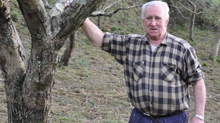 Bautista Goikoetxea - Elorrabi sagardotegia:
«Aurten ez da izan sagarrik; lorea erakutsi zuen, baina eguraldiak bota egin zion»